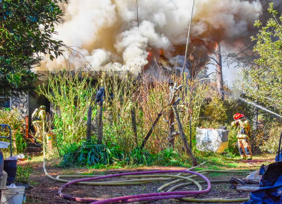 Animals perish in house fire