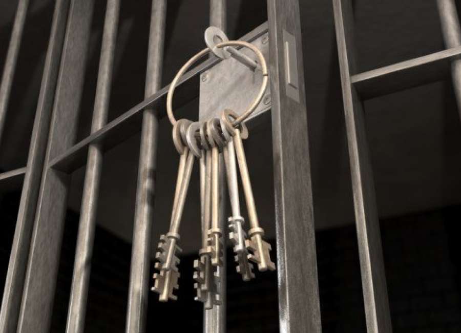 Arrest Log