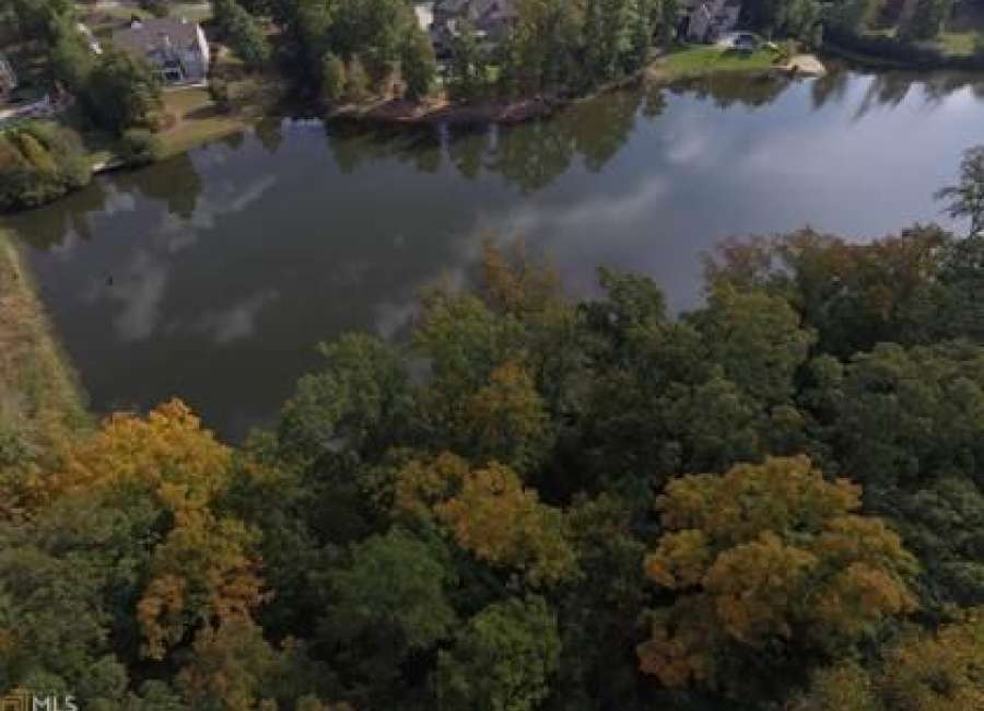 Black bear spotted in Arbor Springs
