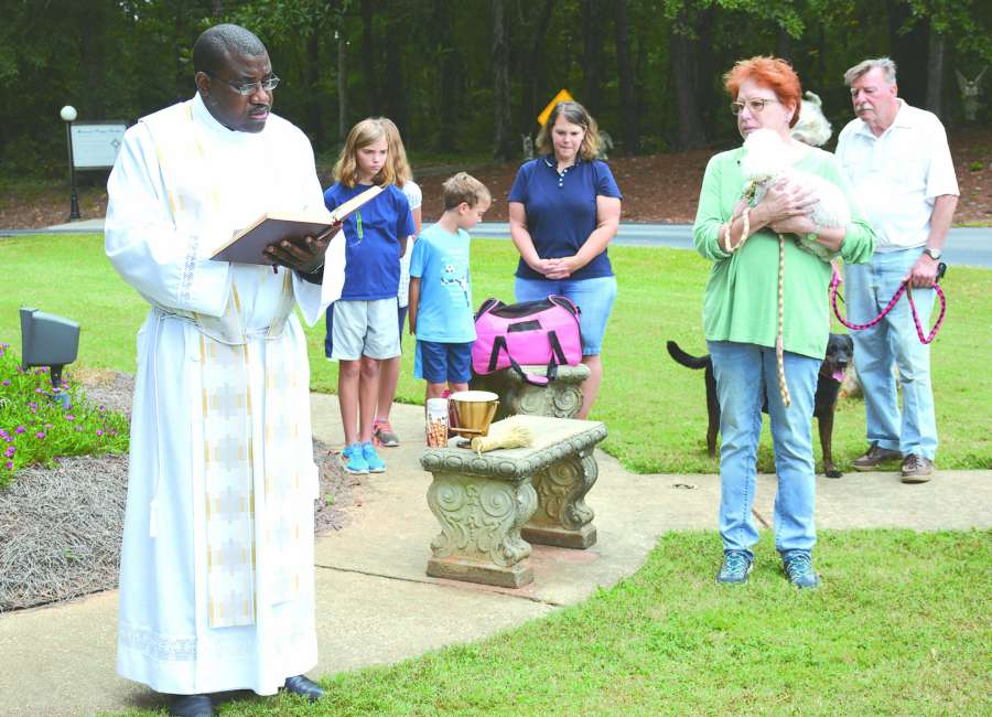Dogs, cats, squirrel, chinchilla blessed on St. Francis Day