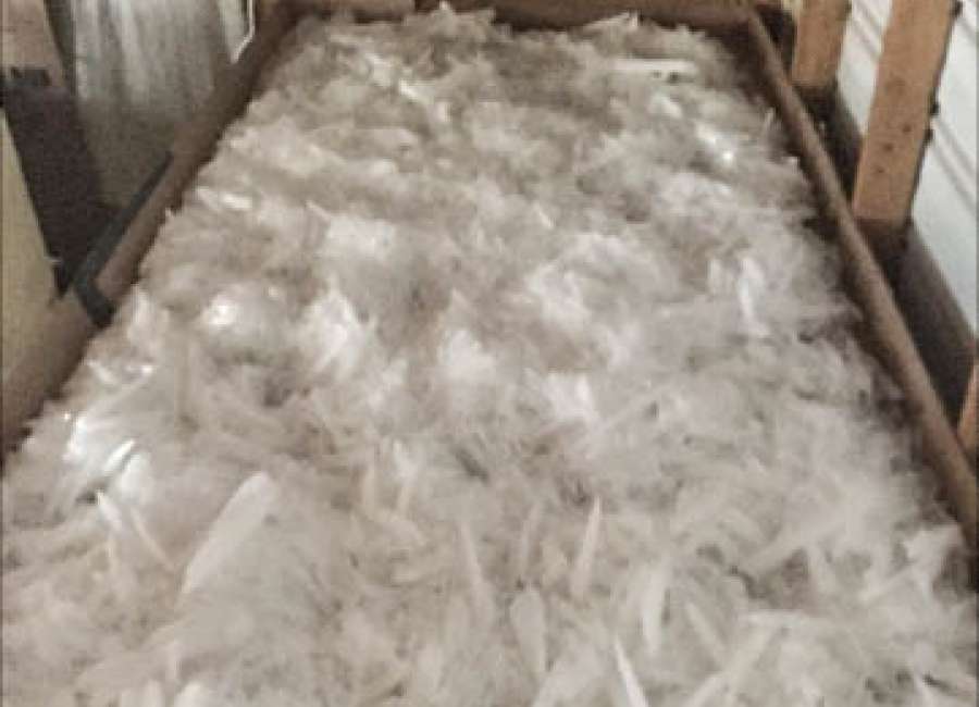 Estimated $2.8 million of methamphetamine marks largest bust in Coweta history