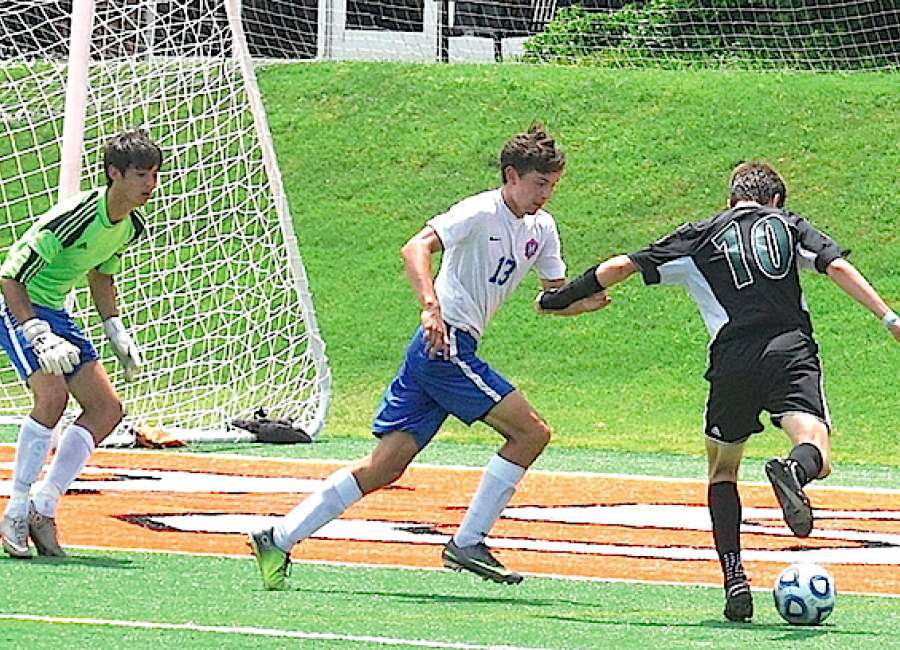 Hawks fall short of title match