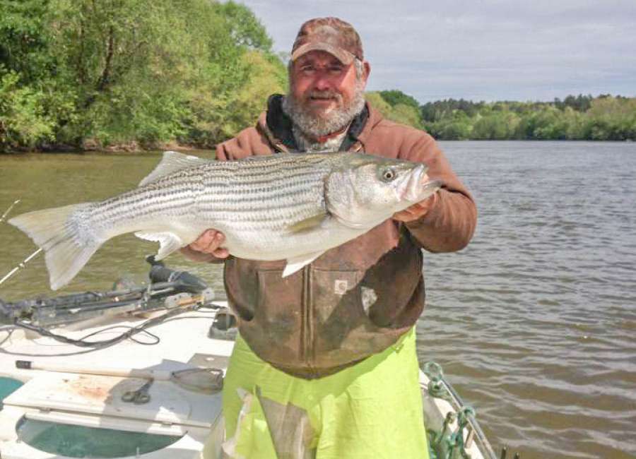 Local angler to host benefit fishing tournament