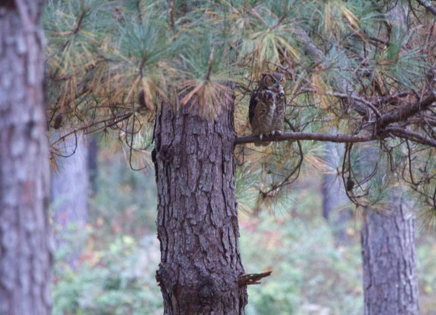 Local landowners protect land from development