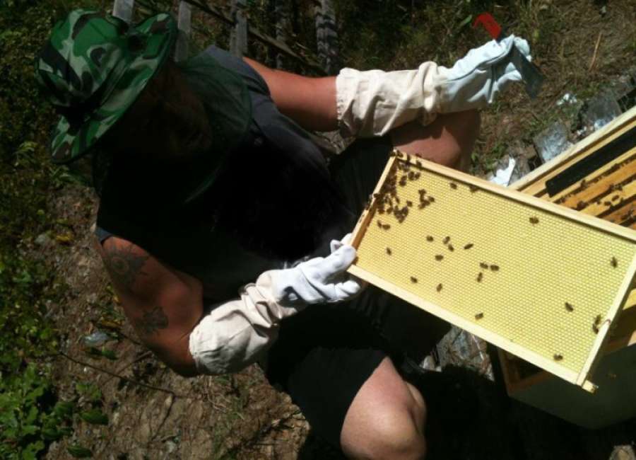 Locals reap the benefits from beekeeping