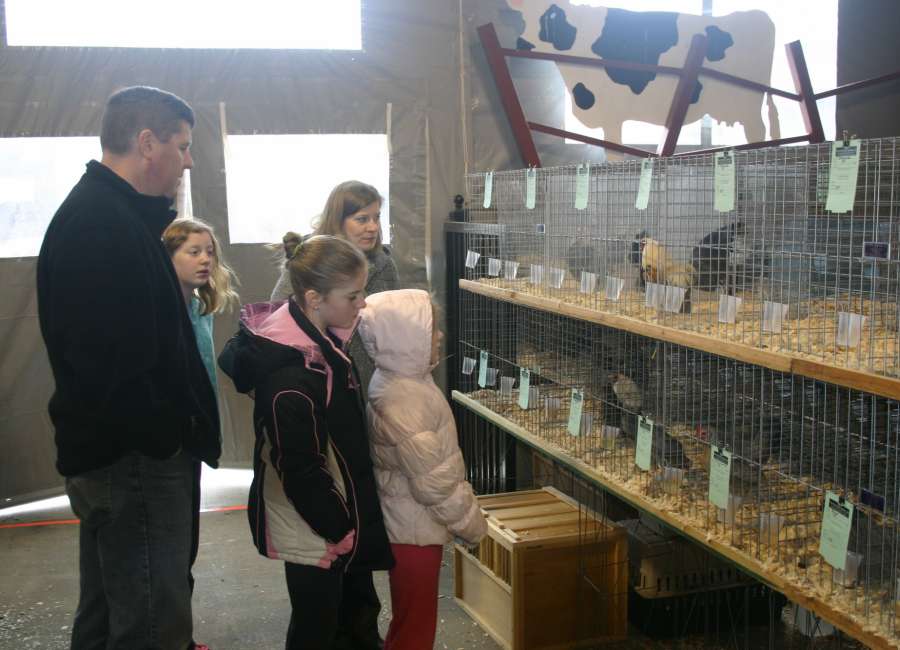 Poultry show Saturday at Fairgrounds