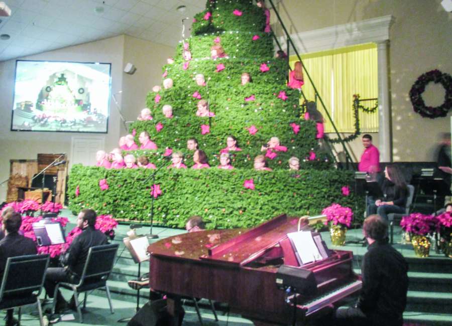 singing christmas tree part of e newnan celebration the first baptist living christmas tree