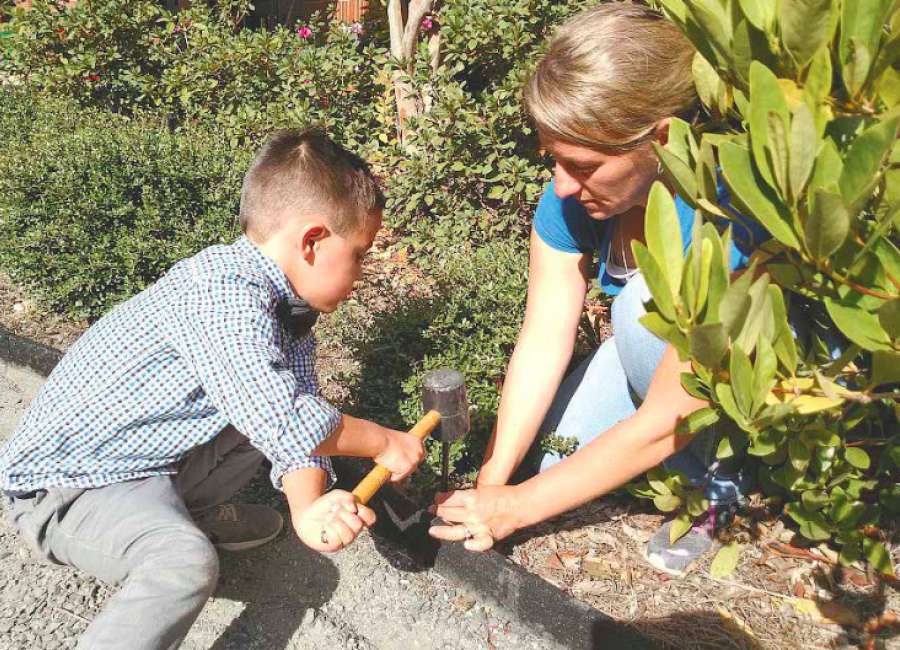 Welch STEM Garden growing a crop of learning opportunities