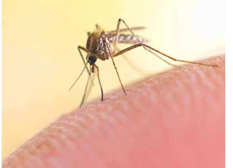 West Nile still a threat to community