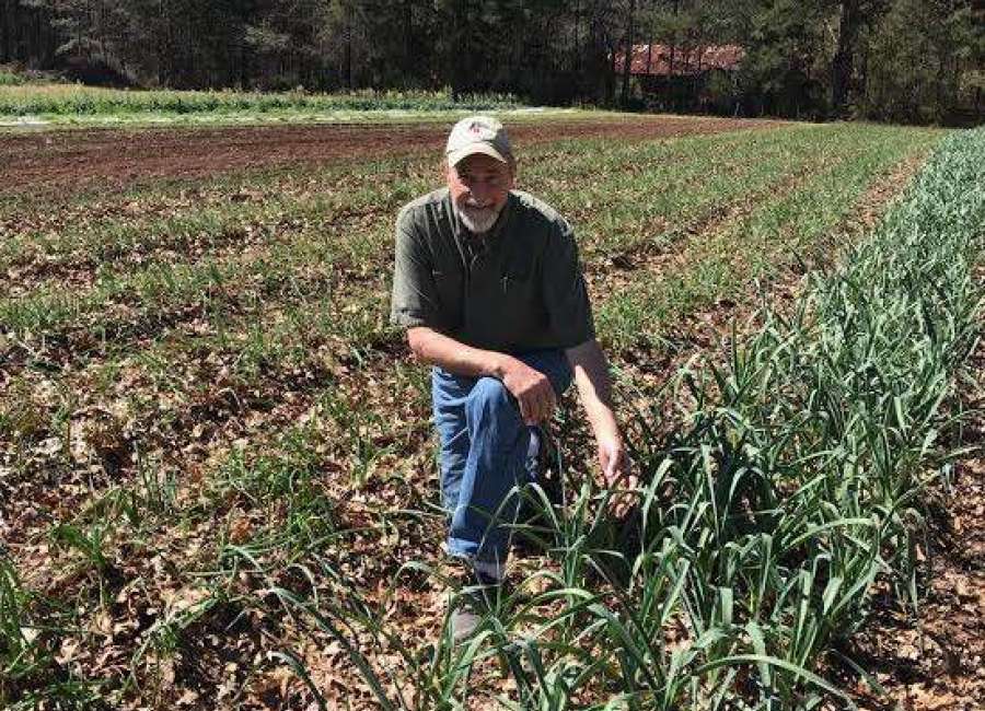 A rainy season may wreak havoc on summer crops