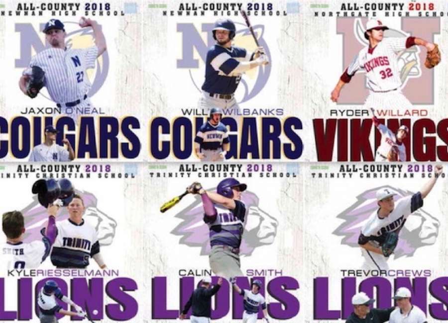 All-County Baseball: Successful year covered all the bases