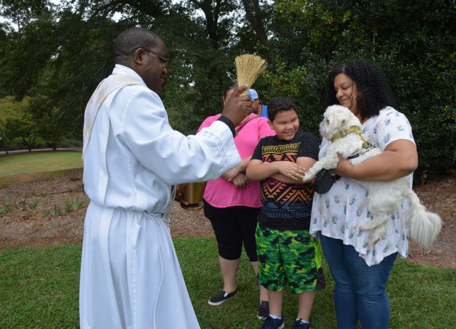 Animals to be blessed at St. George, St. Paul’s, Resurrection