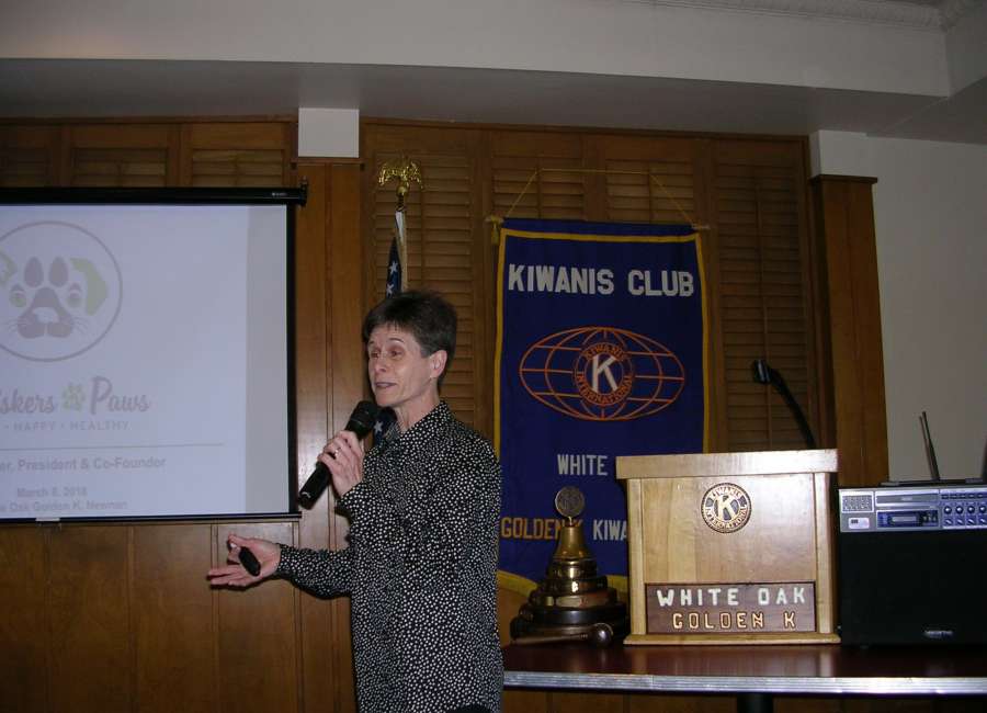 Cat group founder speaks to Golden K