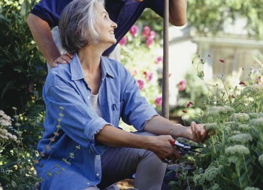 Changing seasons in a gardener's life