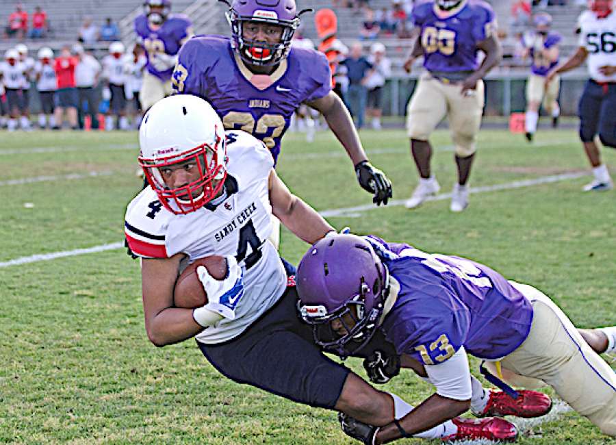 Cougars, Indians have positive endings to spring