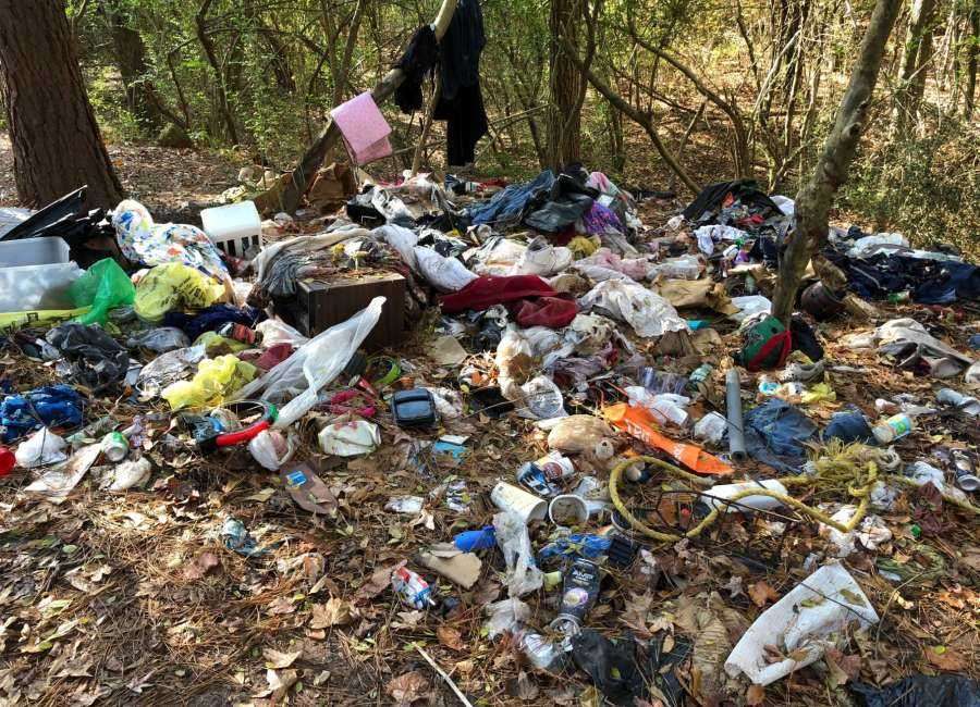 County approves cleanup of homeless camp