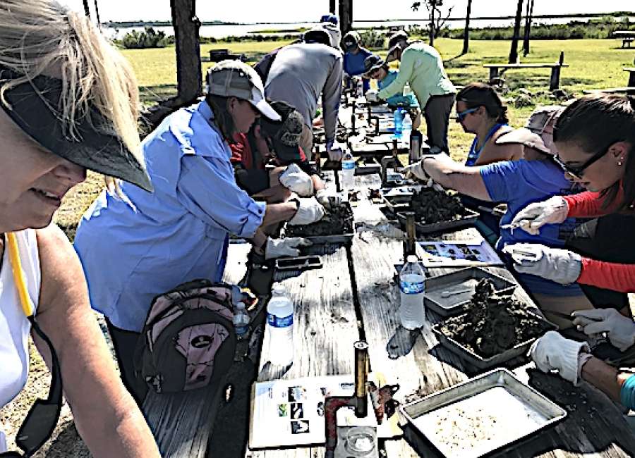 Coweta educators study Chattahoochee’s effect on Apalachicola Bay
