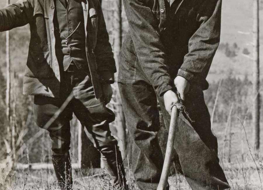 New Deal helped seed modern environmental movement
