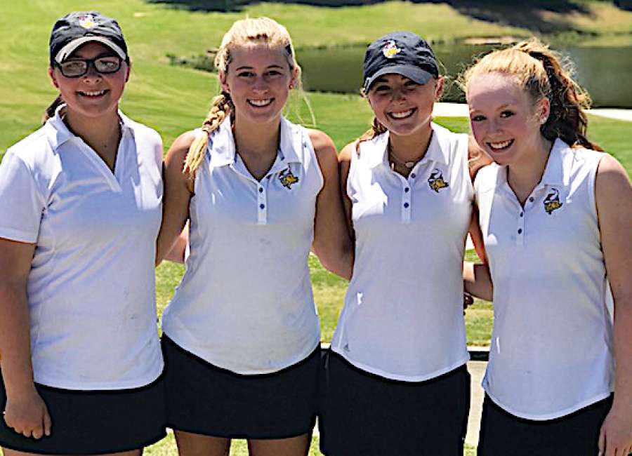 Lady Vikings, Brummett qualify for state