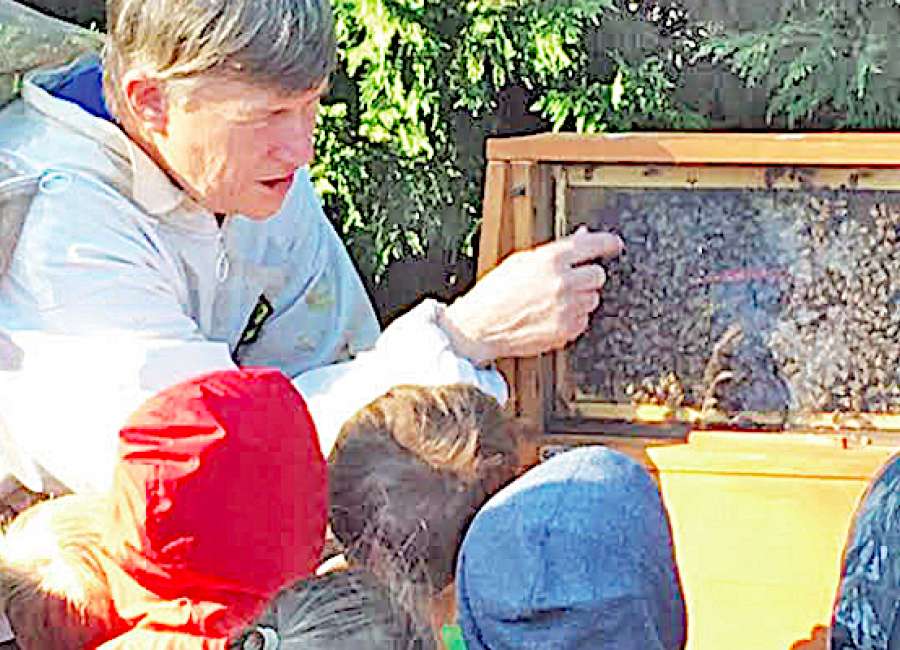 Local organization gives folks a taste of beekeeping