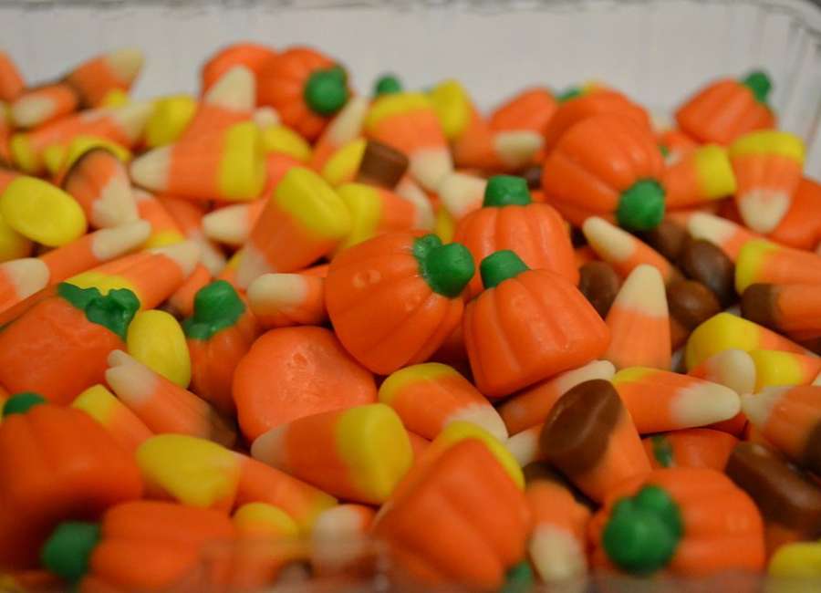 Locals share their favorite Halloween candy