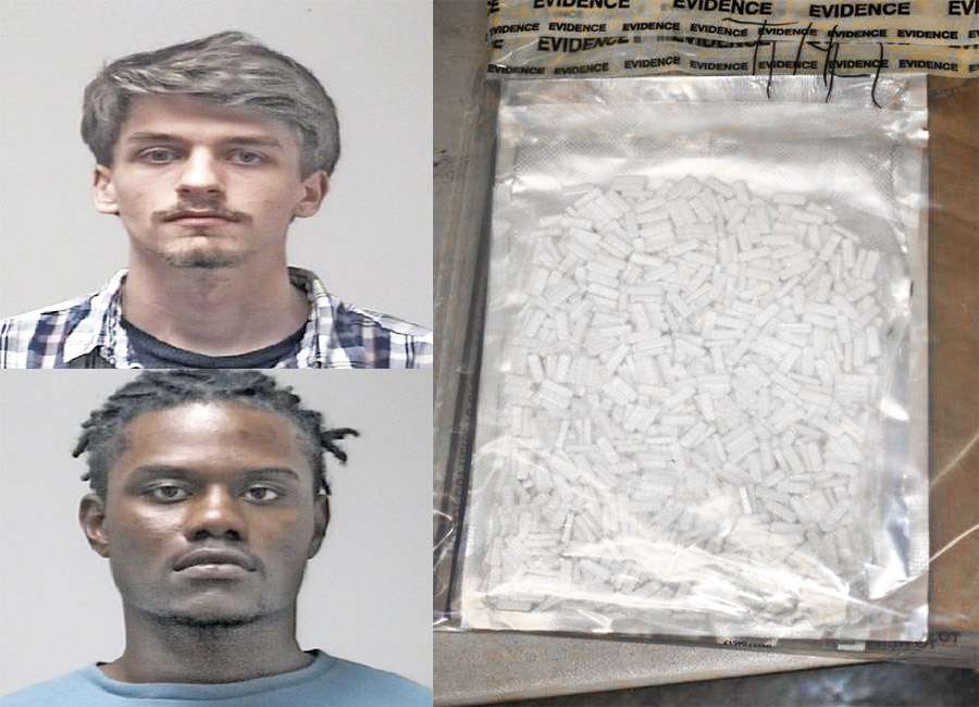 Newnan men face drug trafficking charges