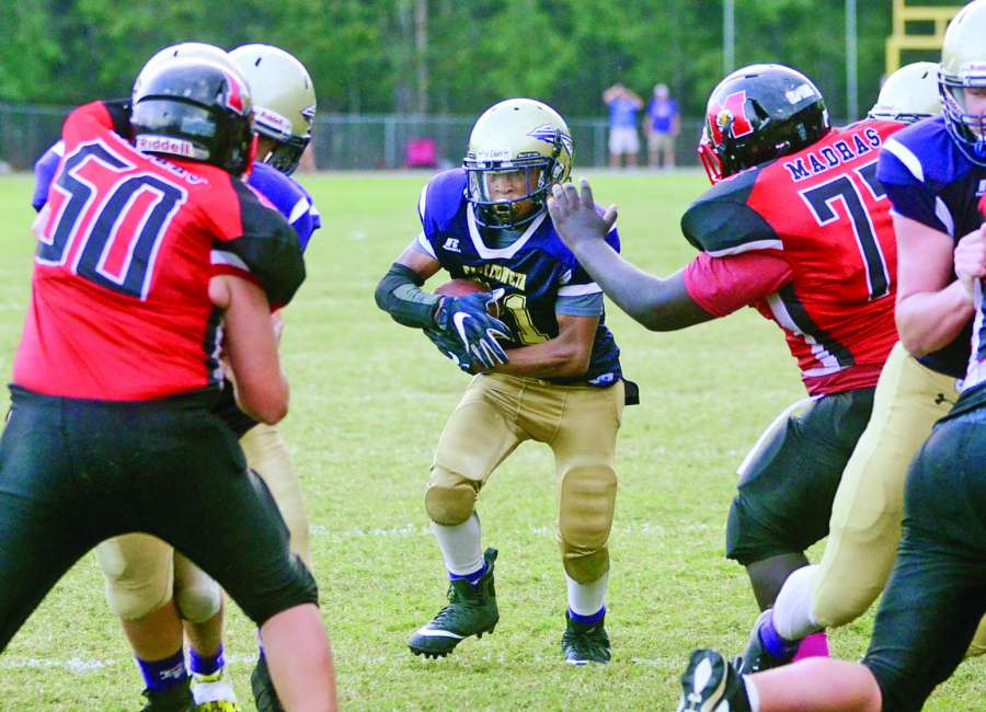 Top seeds East Coweta, Evans advance to championship game