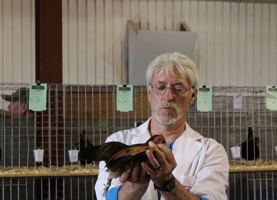 Birds compete at 16th annual Chattahoochee Valley Poultry Show