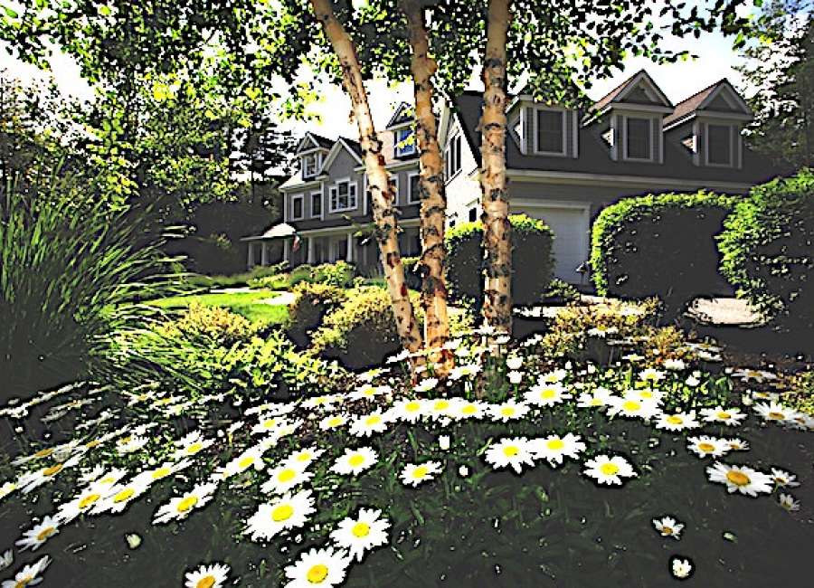 Homeowners can help limit flood damage from heavy rainstorms