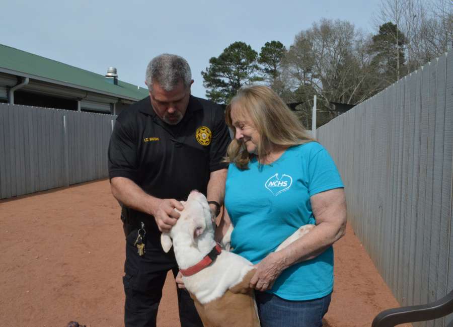 Humane society to take shelter pets to events