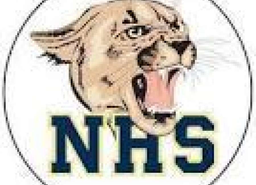 Newnan captures region baseball title with win against rival EC
