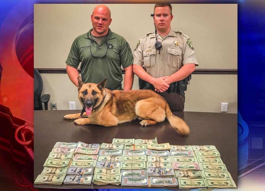 Over $40,000 seized in traffic stop