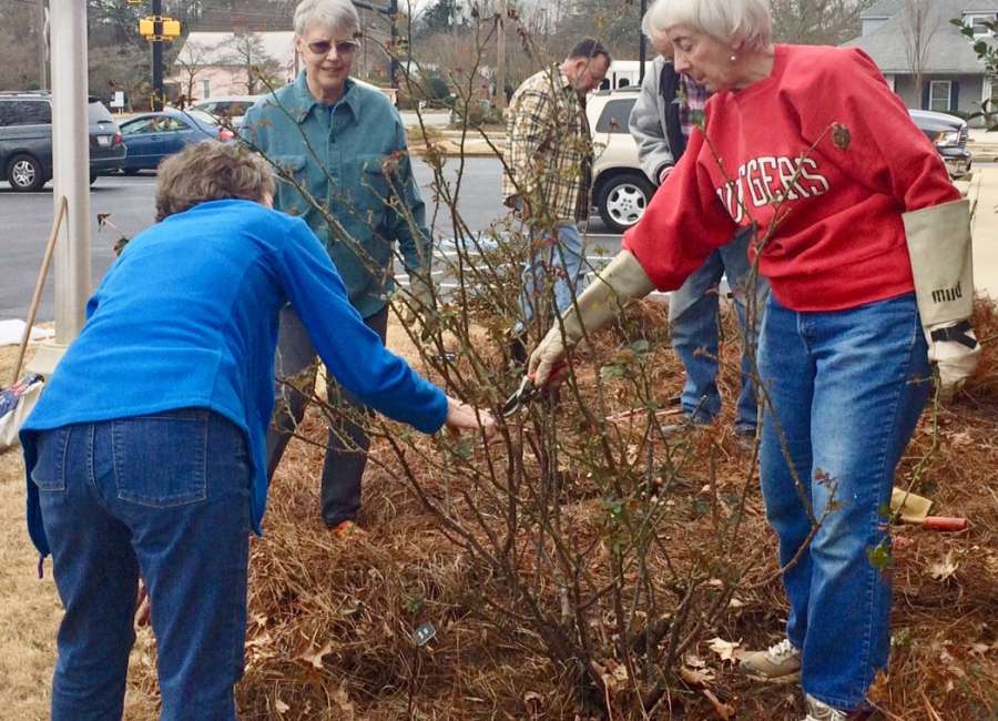 Saturday is day for pruning tips